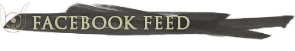 fb-feed
